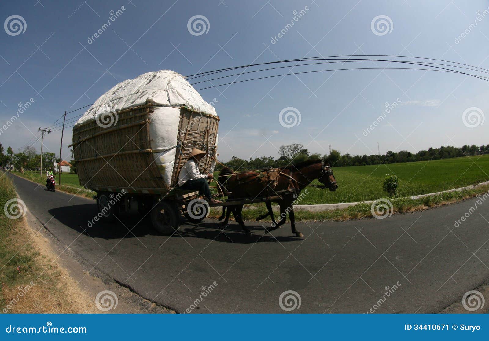 Horse carts editorial photo. Image of farmer, ecoregion 34410671