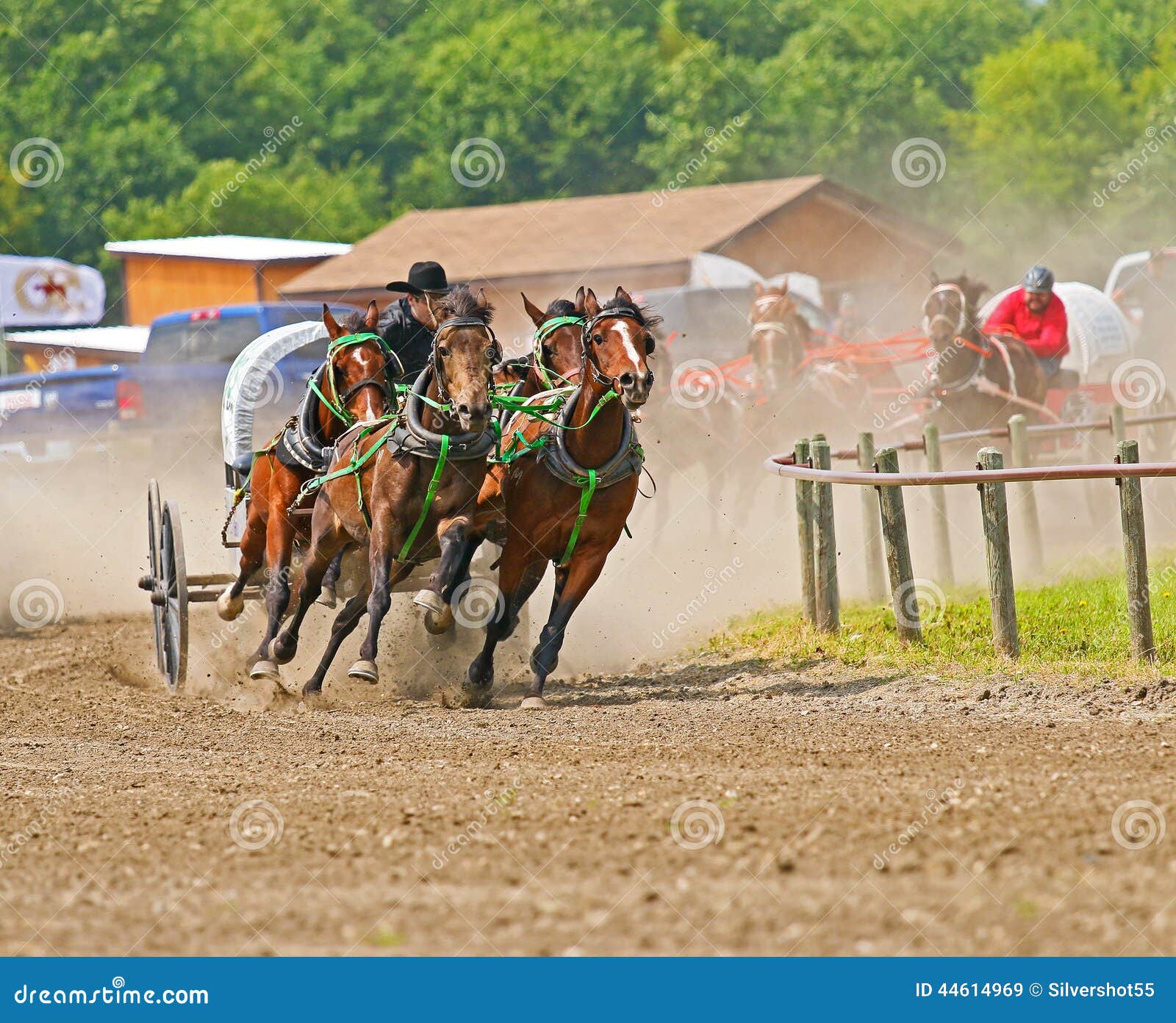 chariot races horses stars