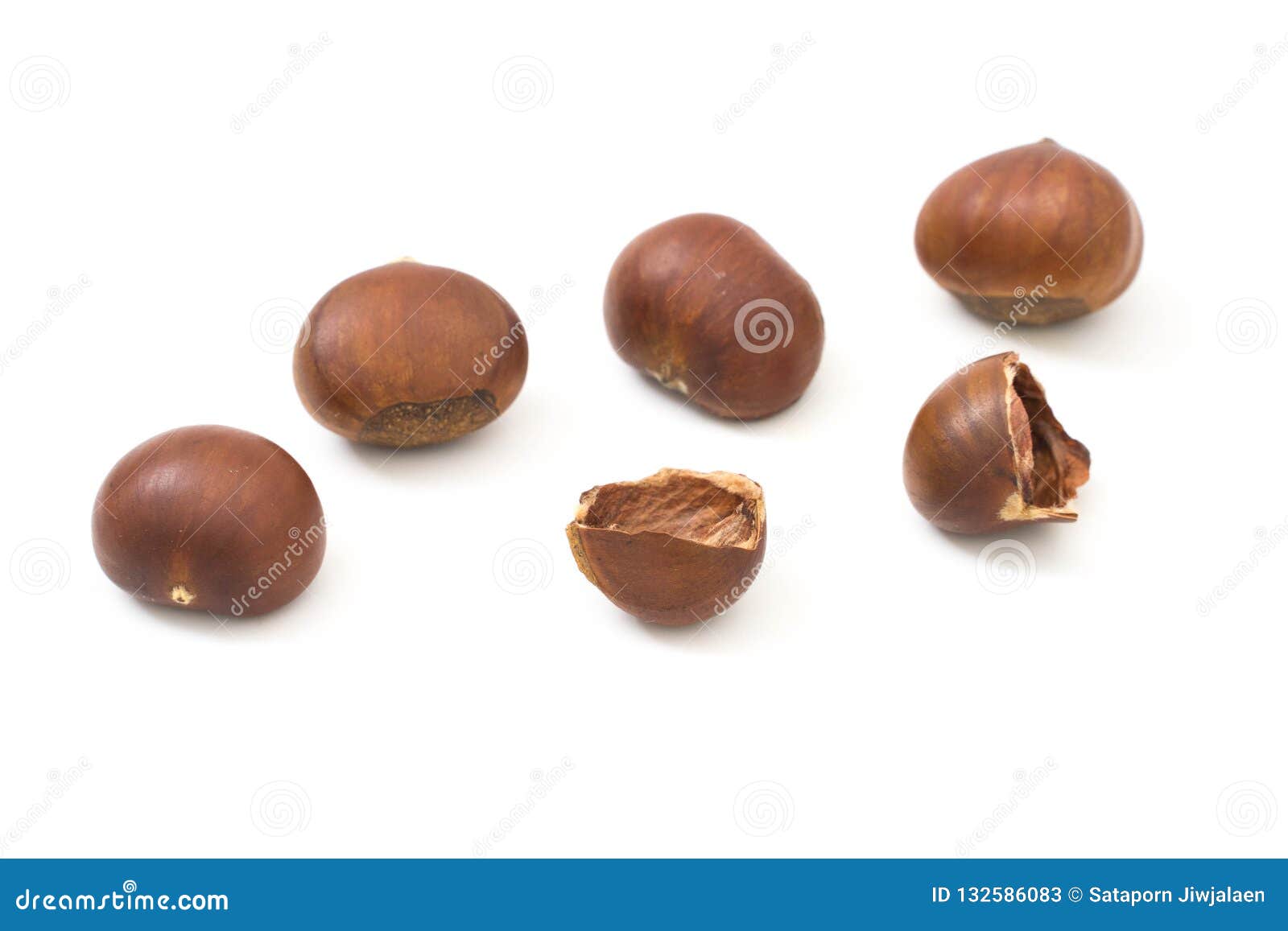 Horse Chestnuts Isolate on White Stock Image Image of peel, seed