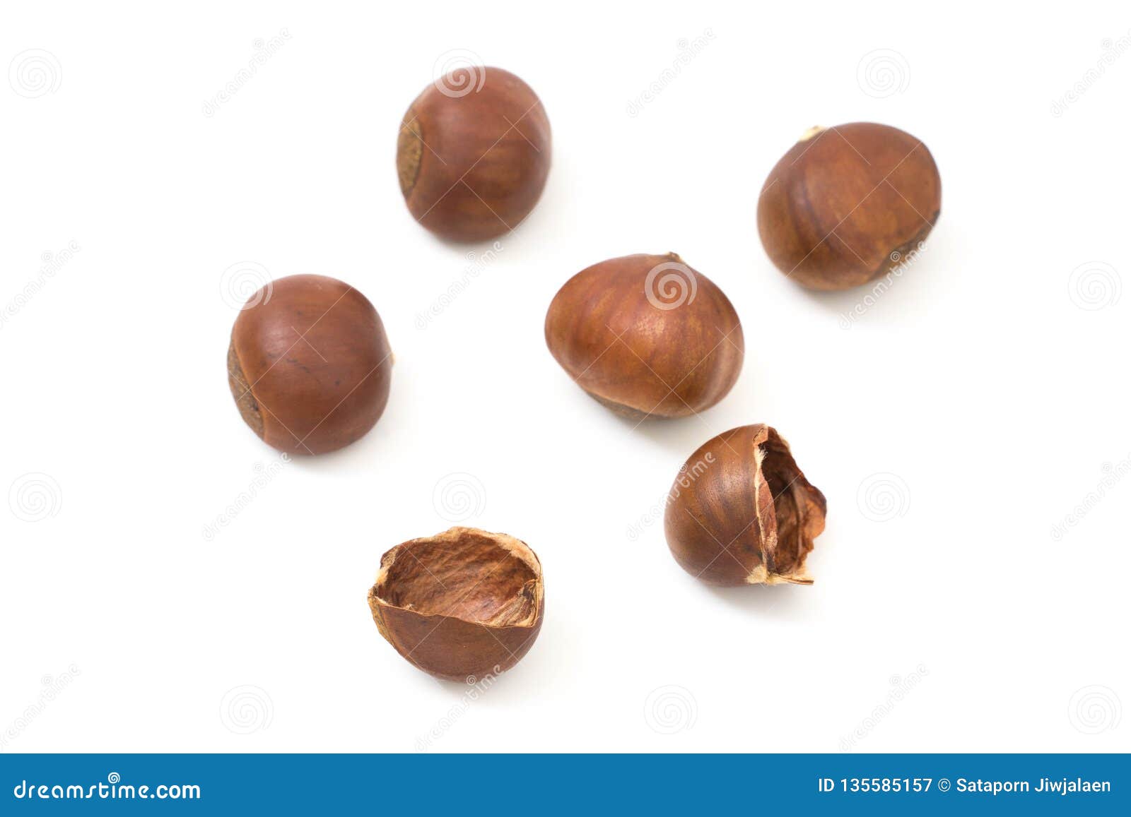 Horse Chestnuts Isolate on White Stock Image Image of background