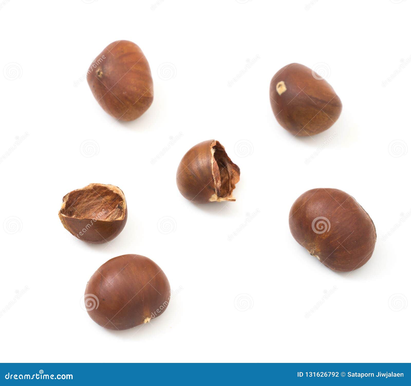 Horse Chestnuts Isolate on White Stock Photo Image of isolate, peel