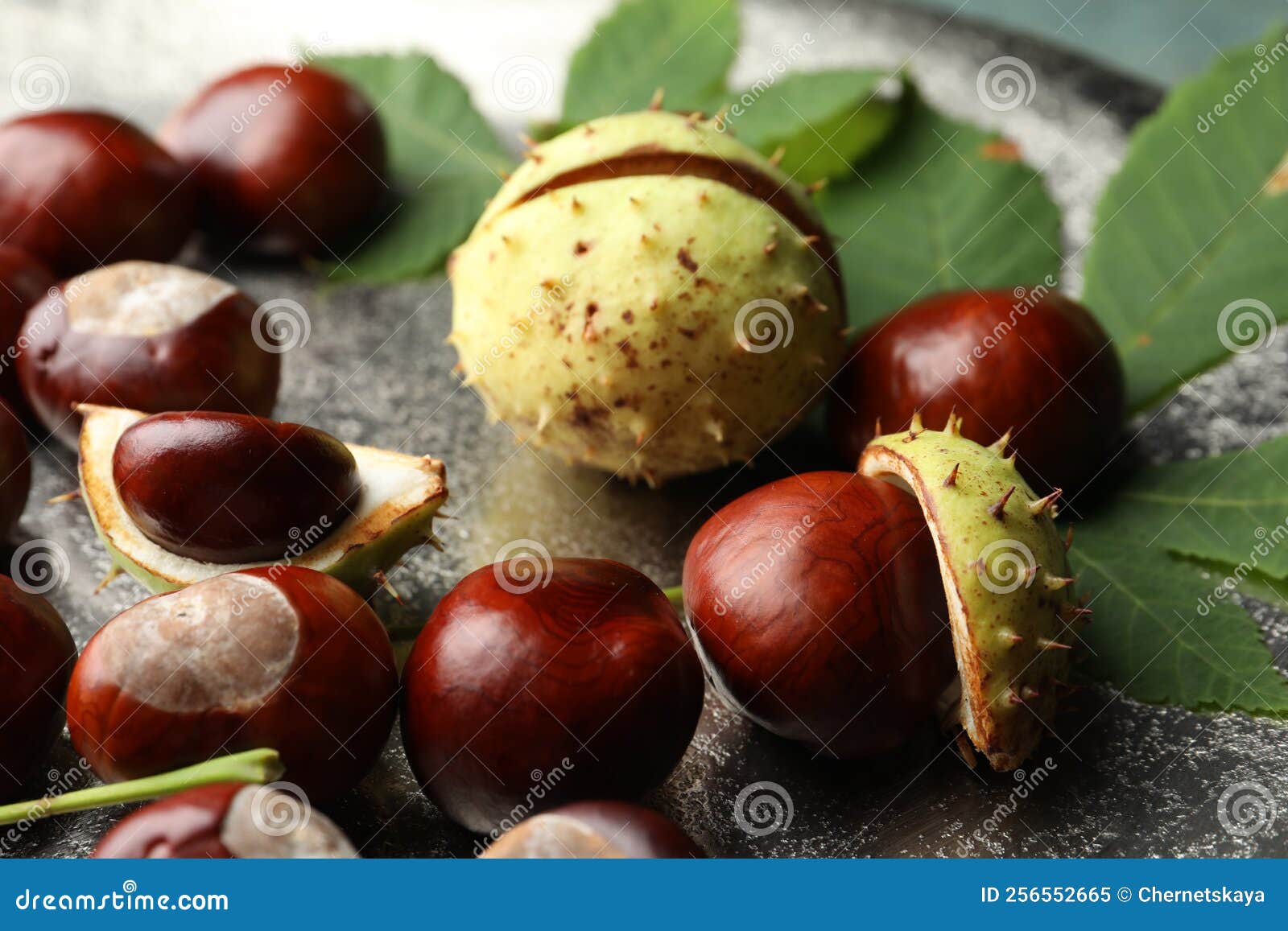 Horse Chestnuts and Leaves on Plate, Closeup Stock Image Image of