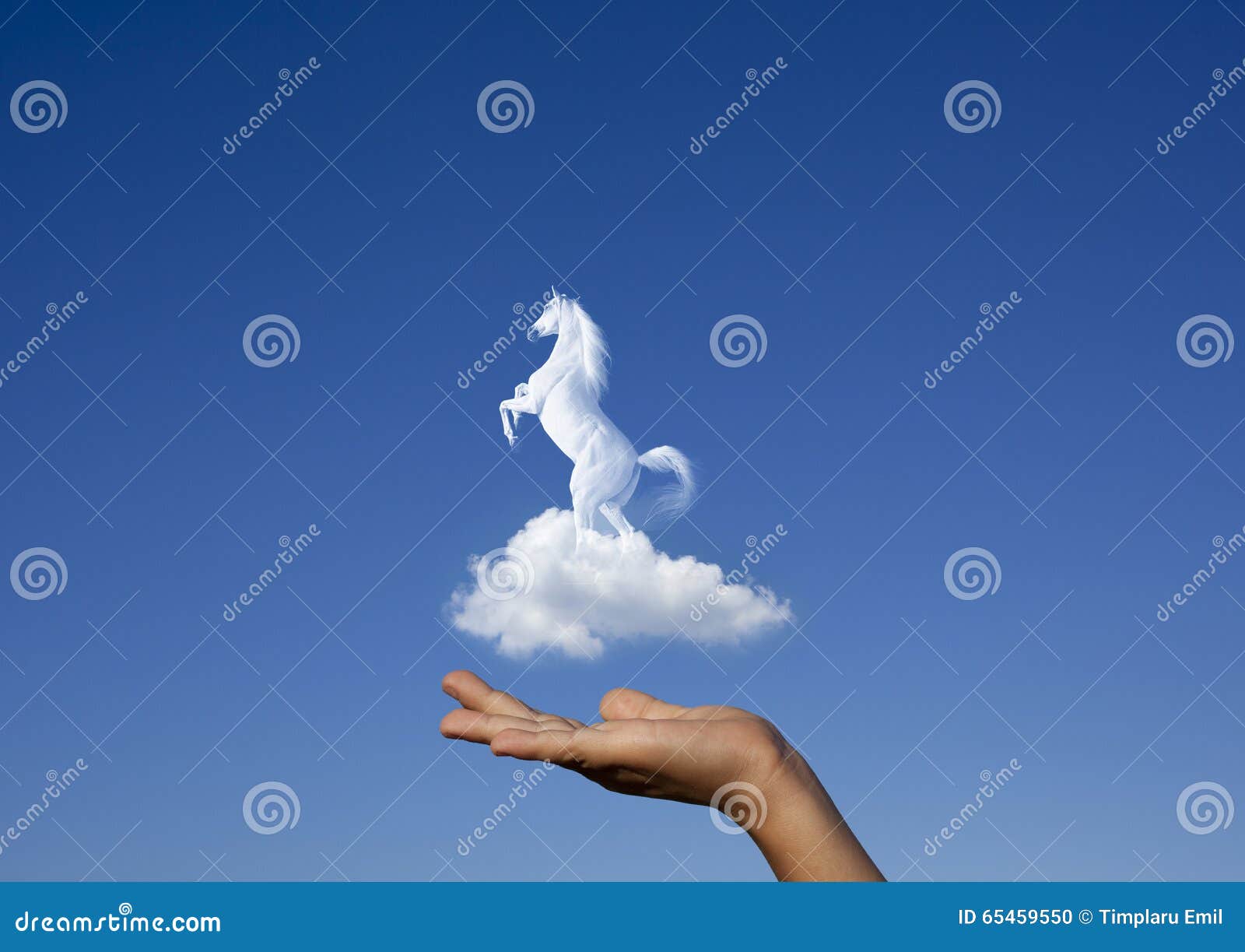Horse on cloud stock photo. Image of cloud, peace, horse 65459550