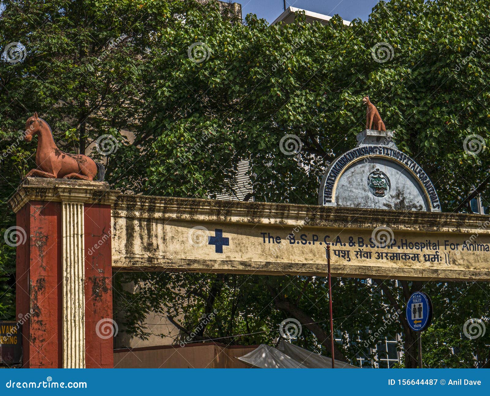 parel hospital for dogs