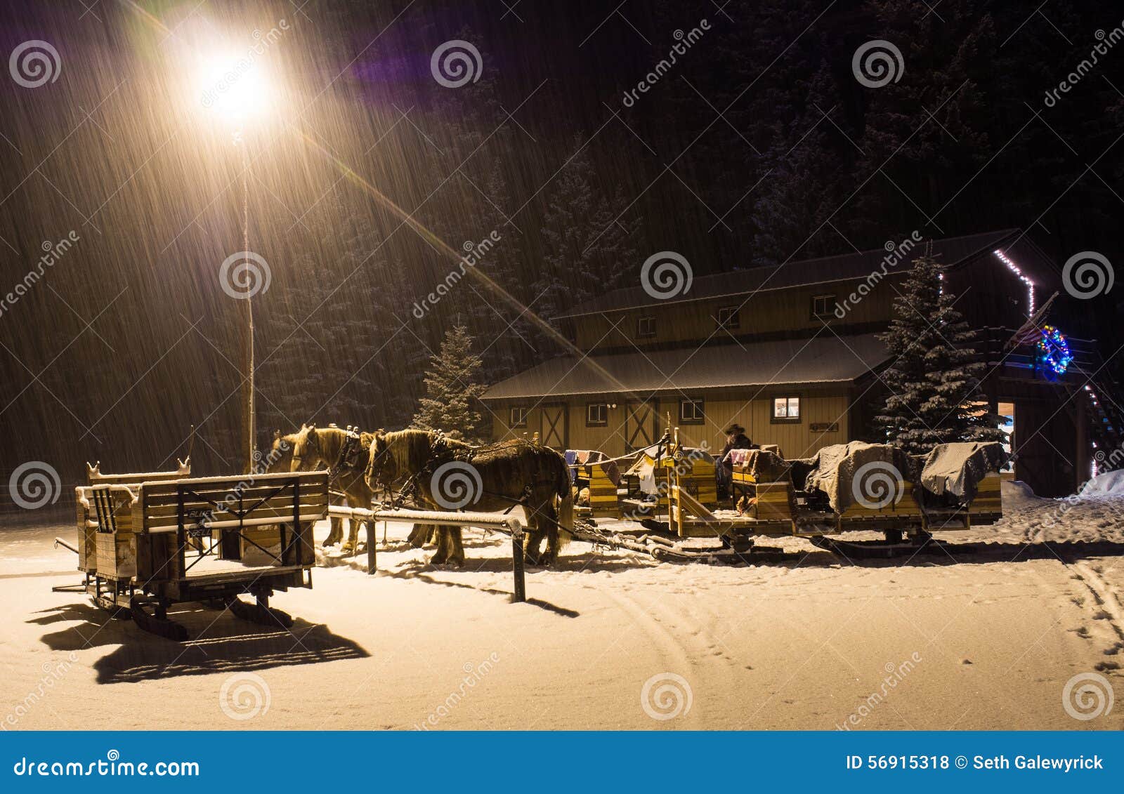 horse drawn sleigh waits