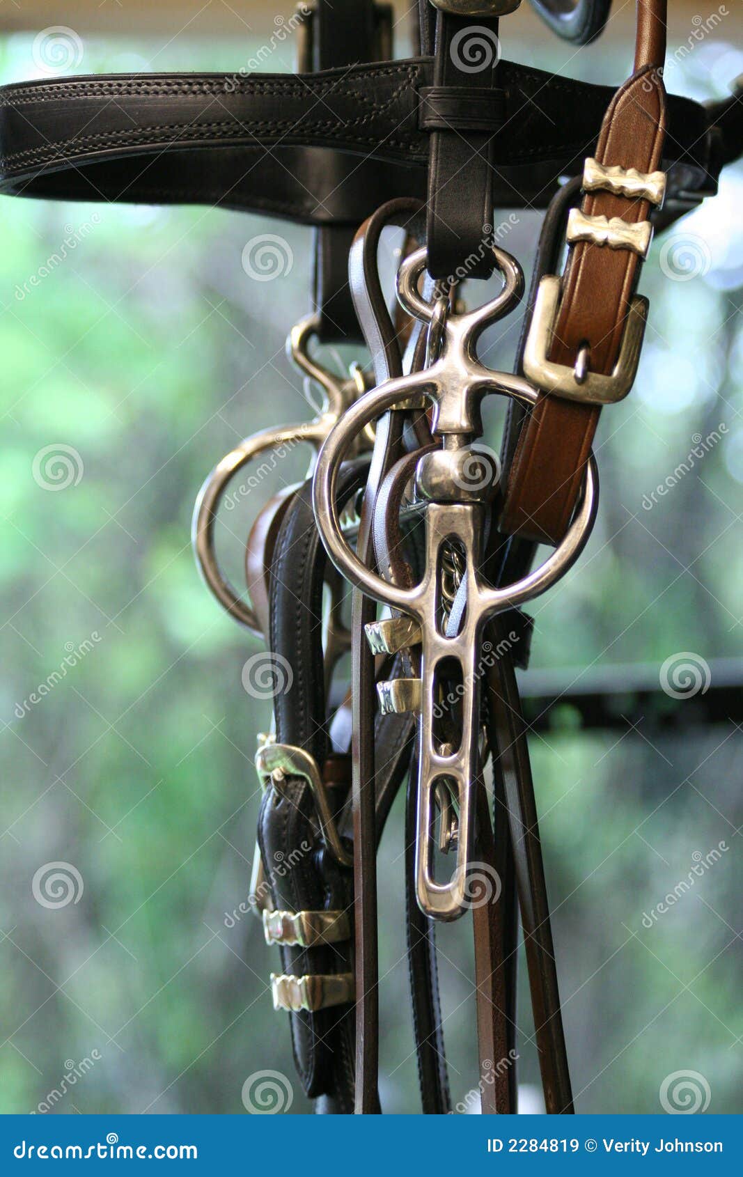 Horse driving bit stock image. Image of harness, steel 2284819