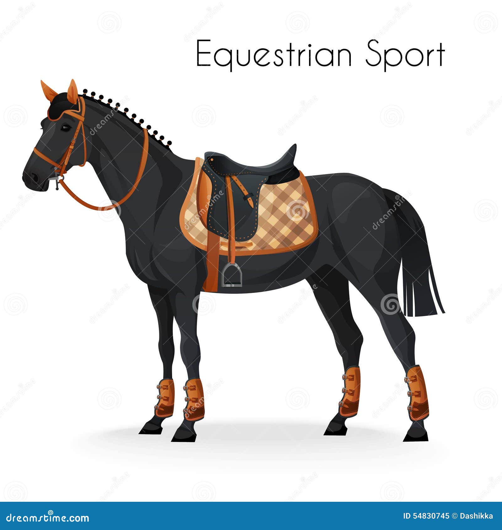 Horse with Equestrian Sport Equipment Stock Vector Illustration of