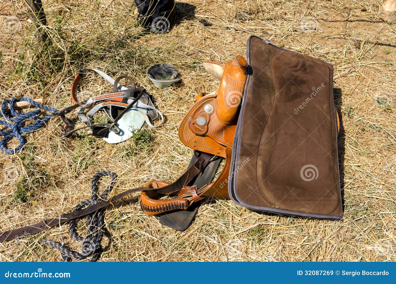 Horse equipment stock image. Image of horse, equipment 32087269