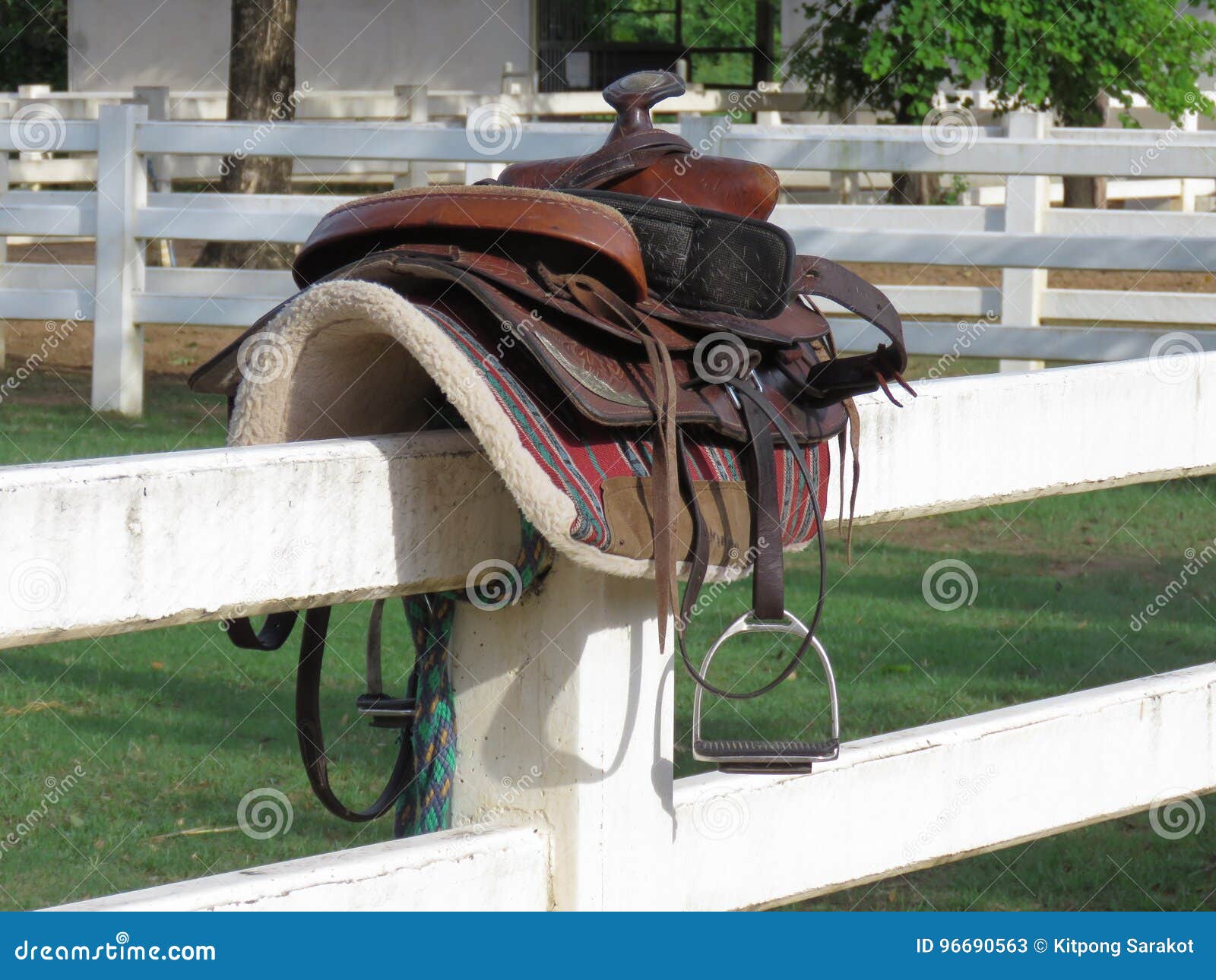 Horse Equipment in the Stable Stock Image Image of natural, farm