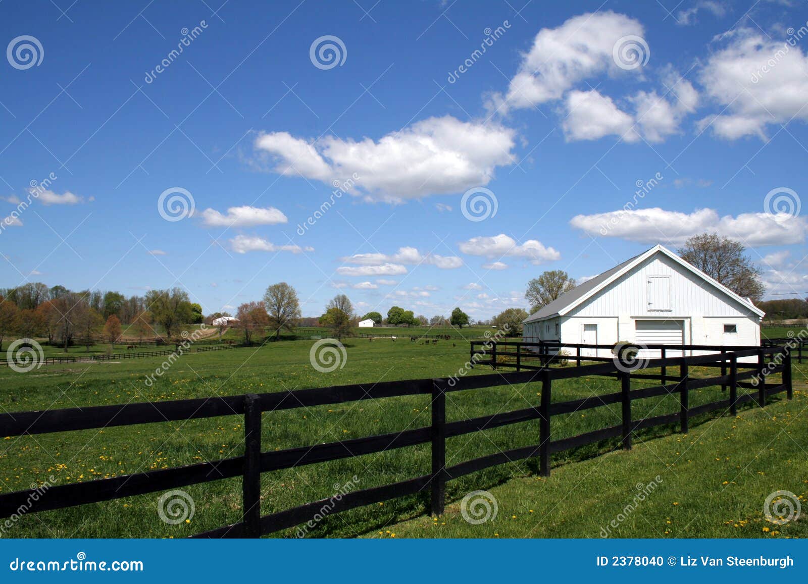 Horse Farm stock photo. Image of acres, stable, fence 2378040