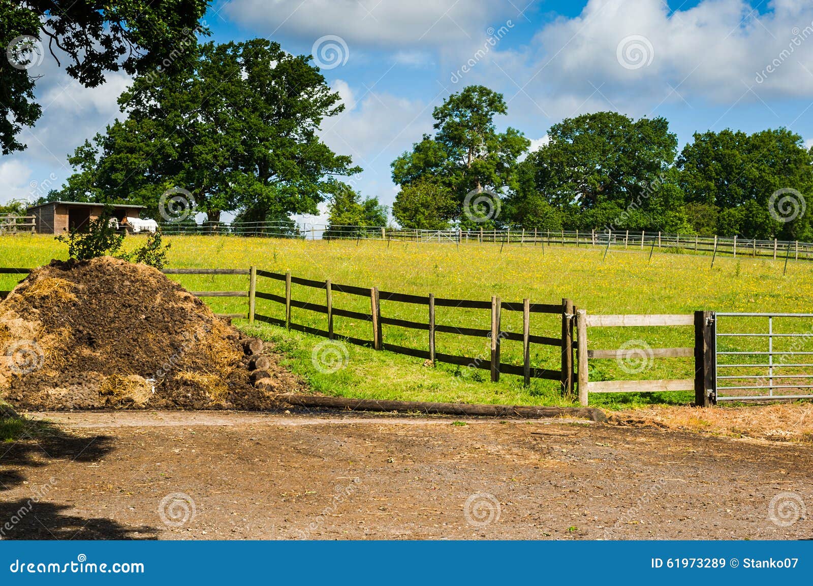 Horse farm stock image. Image of british, agriculture 61973289