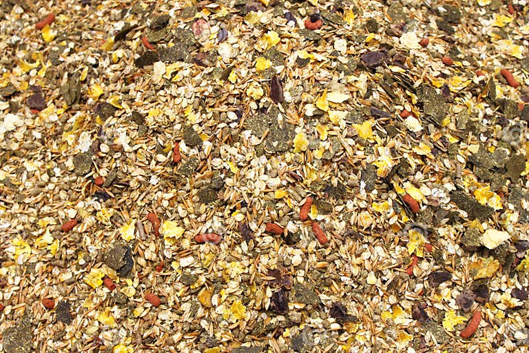 Horse feed mix stock photo. Image of supplement, closeup 19249302