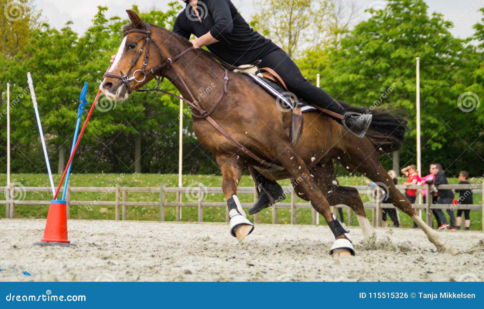 Horse Galloping with Rider on Course Editorial Photo Image of cones