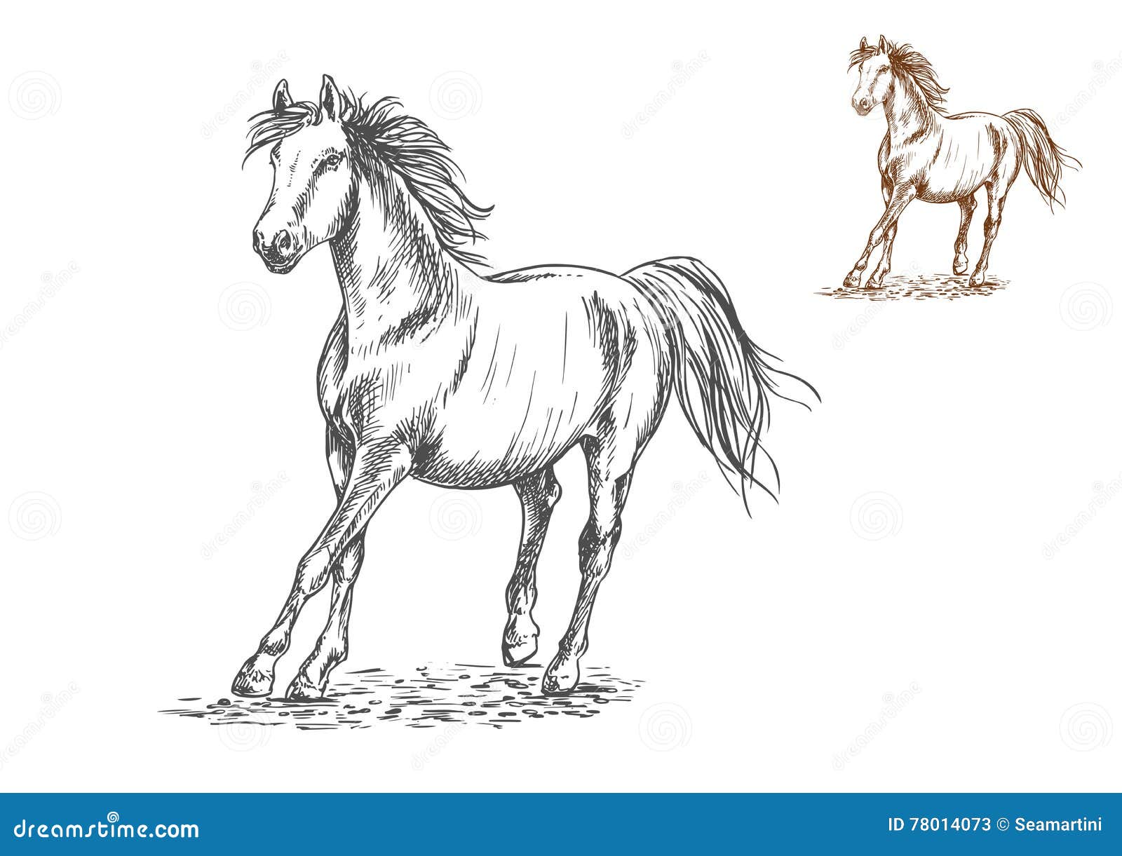 Horse Galloping Sketch Portrait Stock Vector - Illustration of artistic