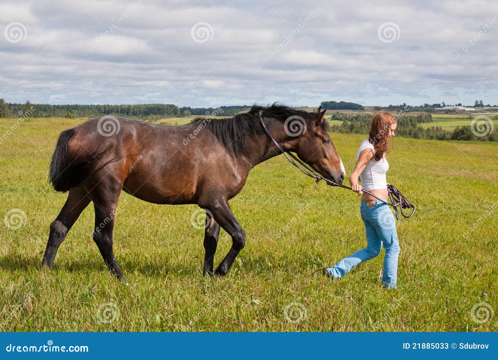 Horse and girl stock image. Image of environmant, farm 21885033