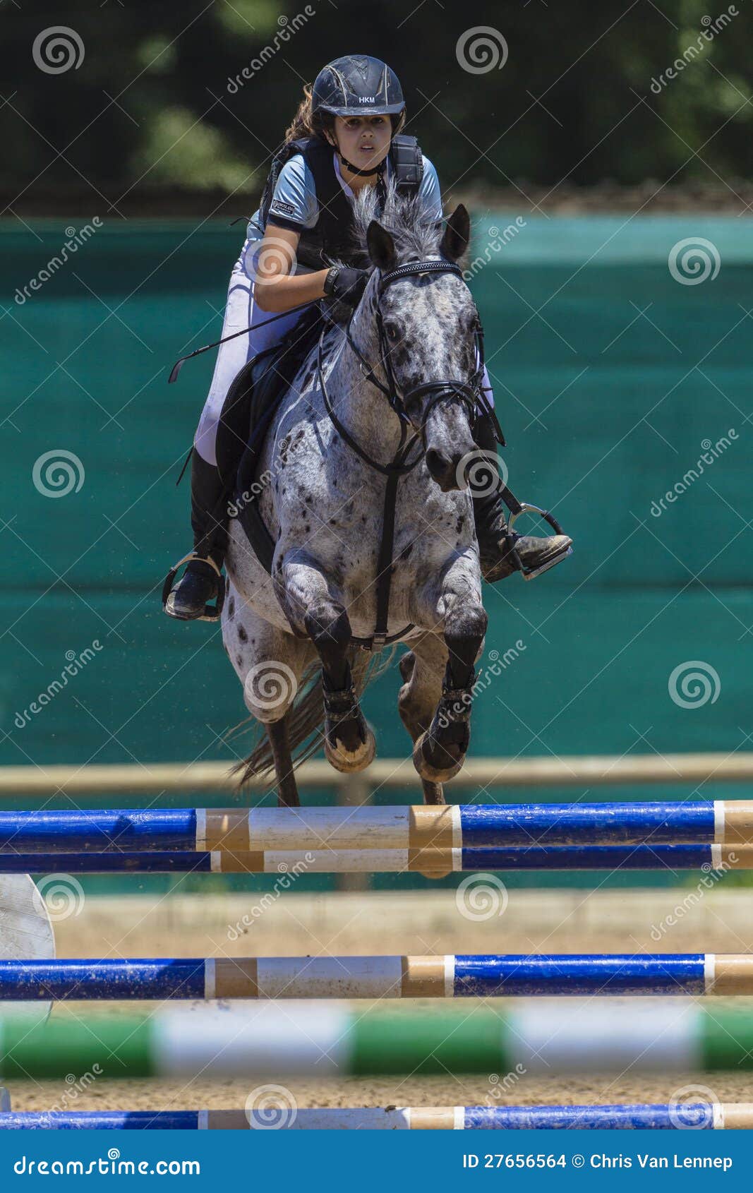 Horse Girl Jump editorial stock image. Image of gates 27656564