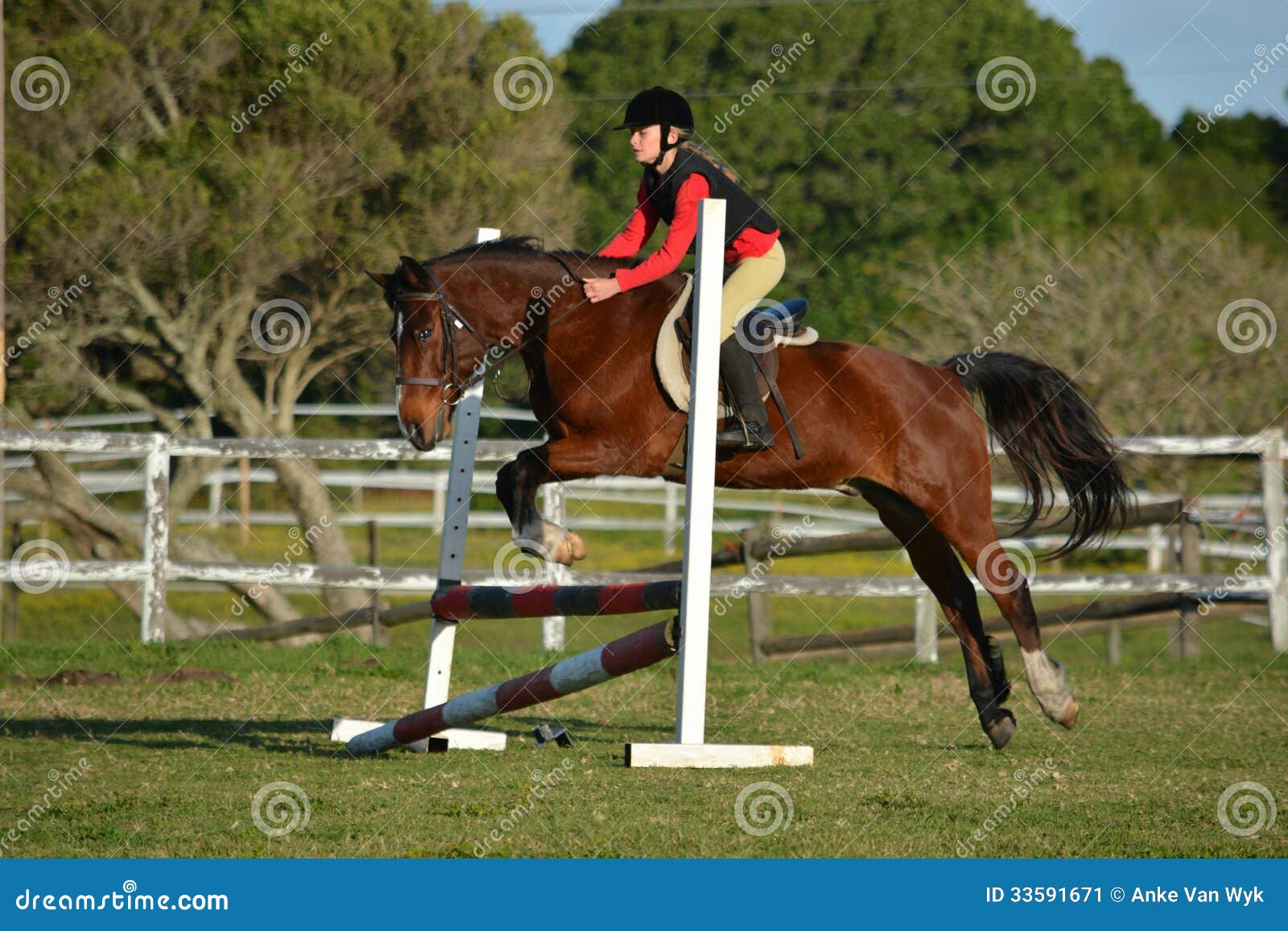 horse riding girl child show jumping