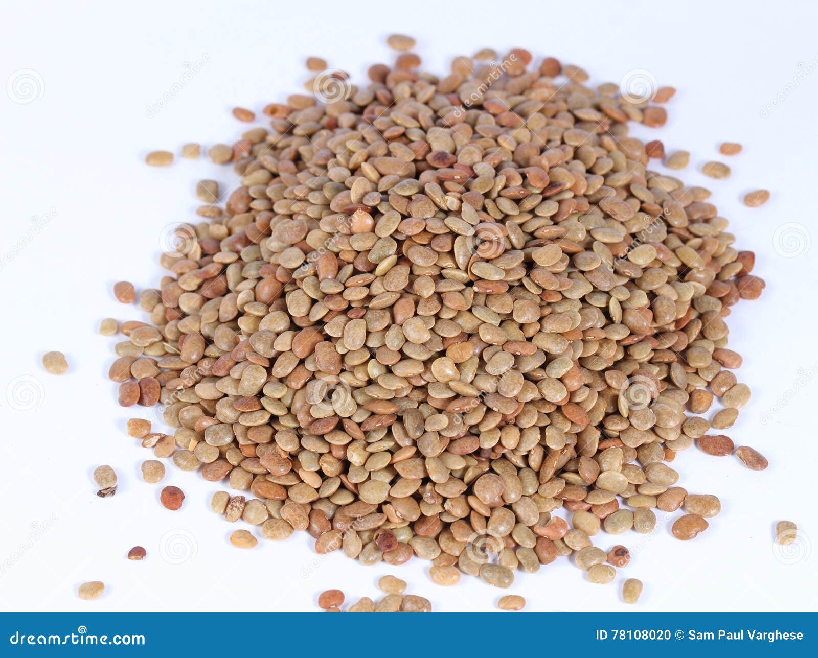 Horse Gram or kulthi bean stock photo. Image of edible 78108020