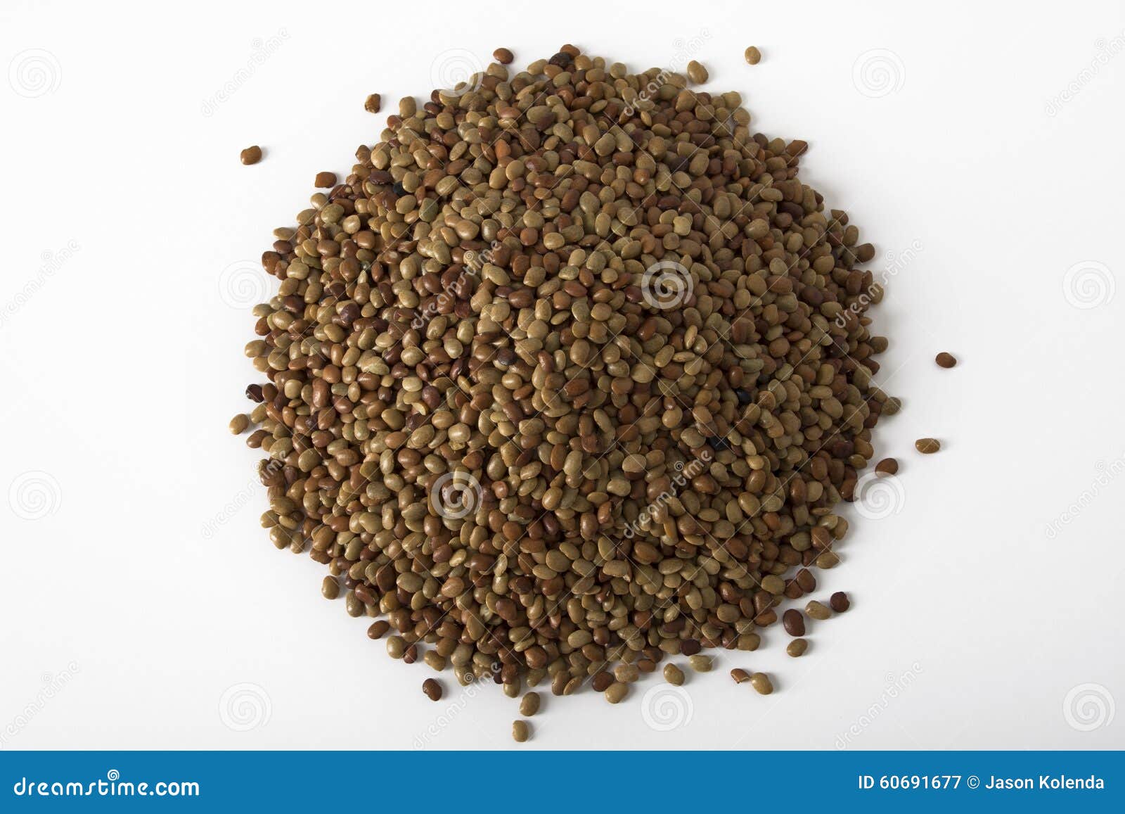 Horse Gram Lentils stock image. Image of lentils, cooking 60691677