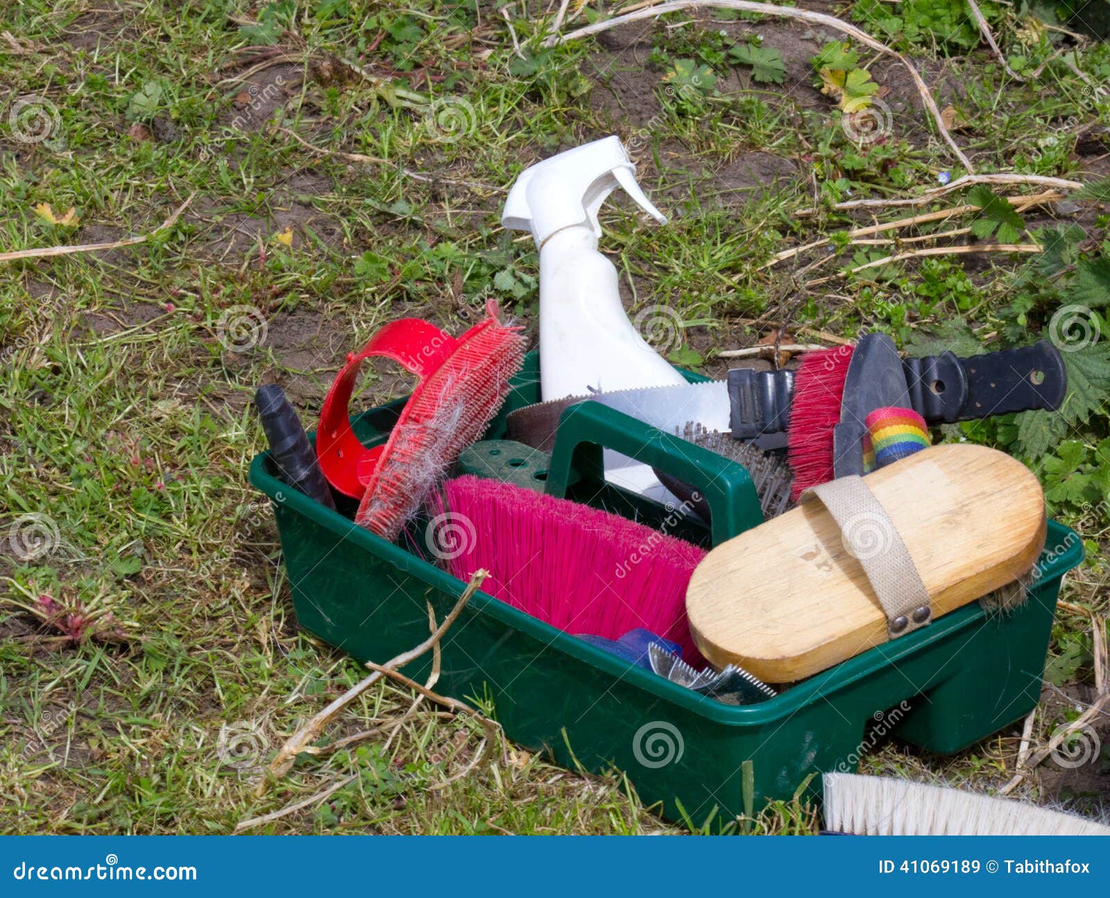 Horse Grooming Equipment stock image. Image of brushed 41069189