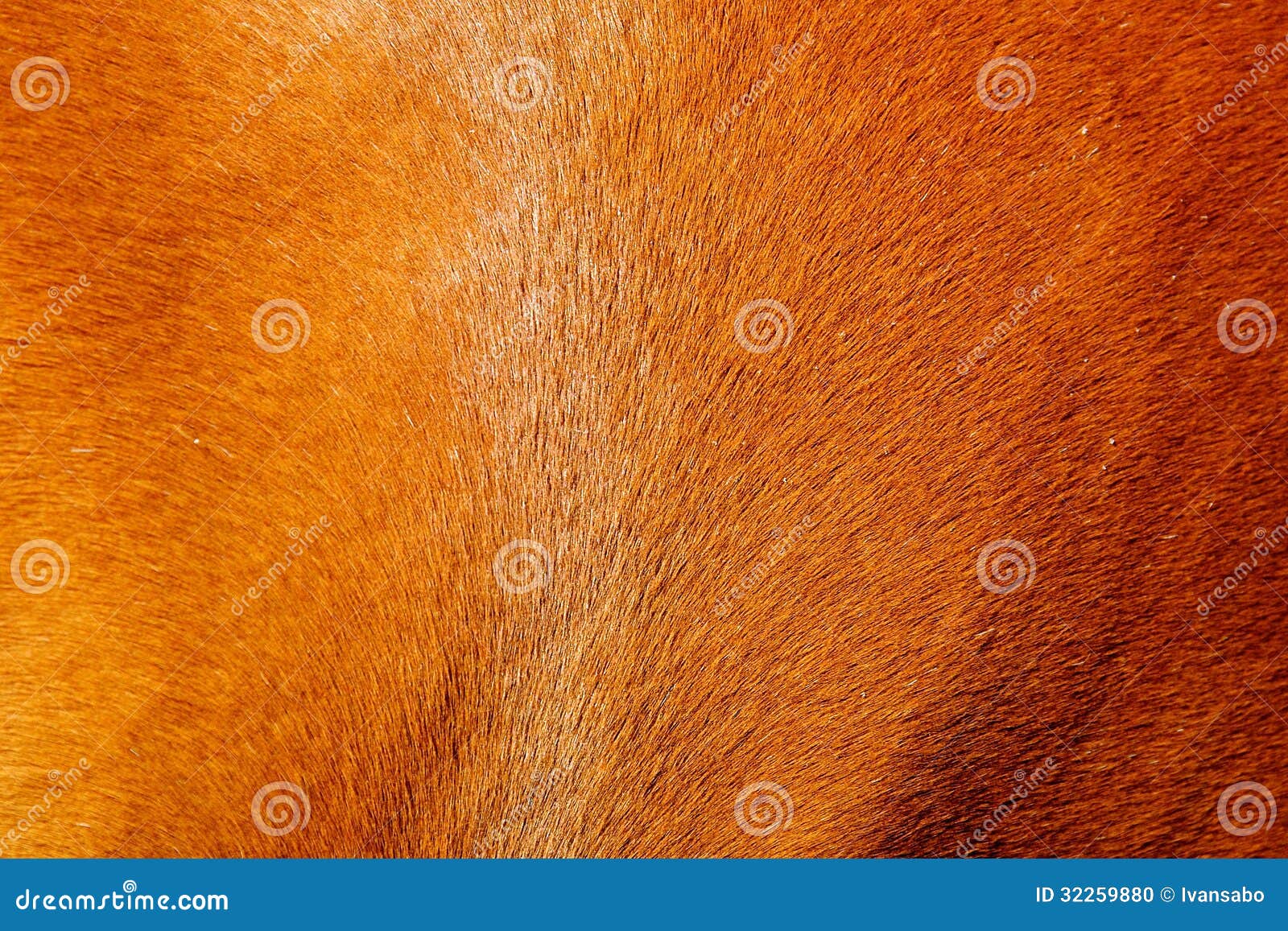 Horse Hair Texture Background RoyaltyFree Stock Photo CartoonDealer
