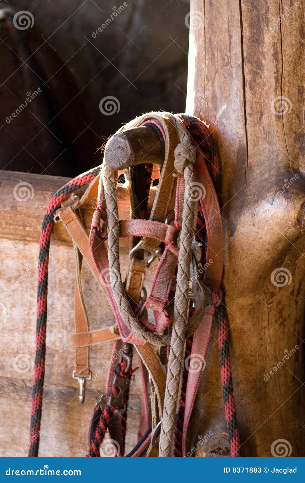 Horse Harness and Stable Box Stock Image Image of wooden, stable 8371883