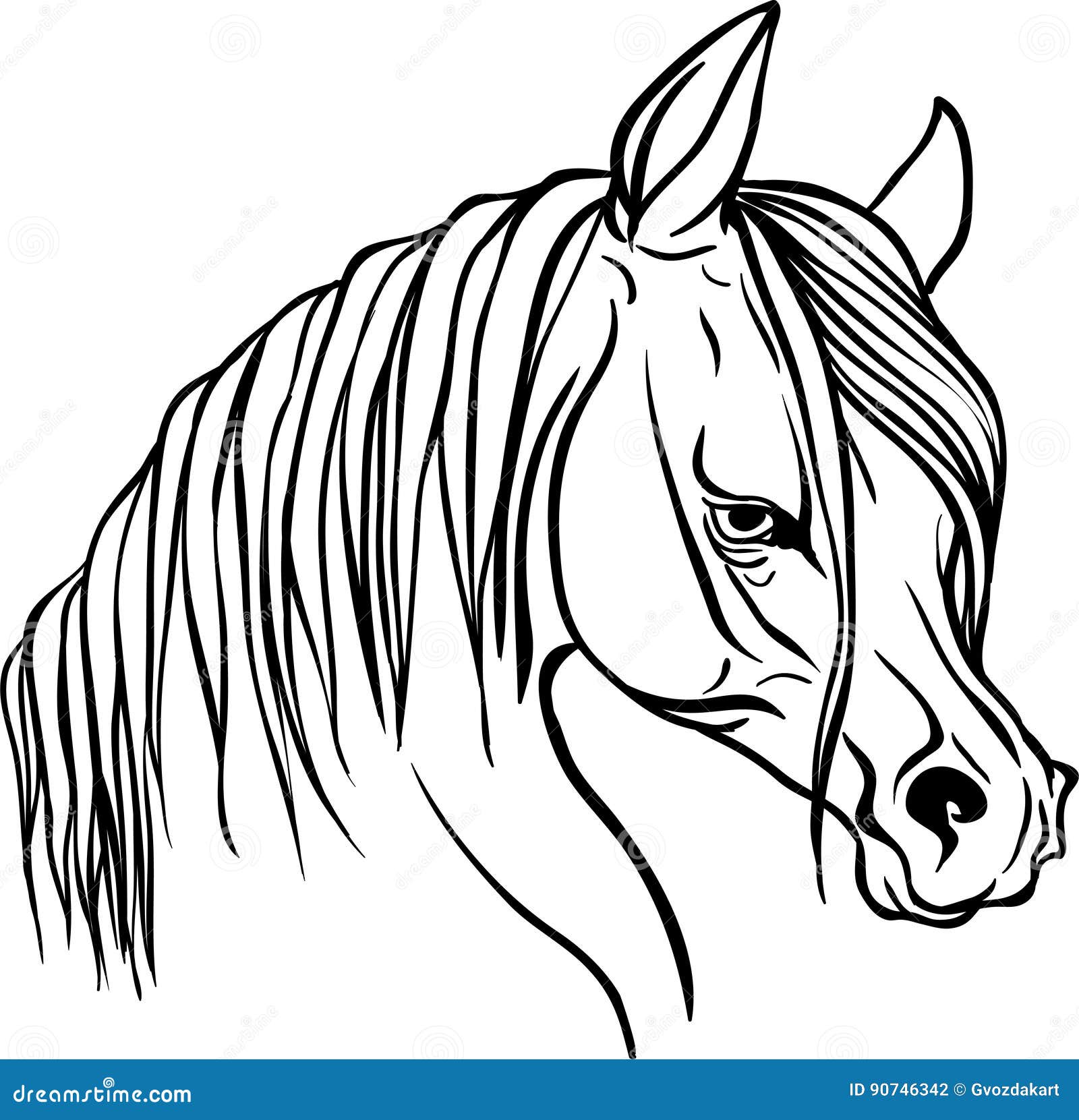 Horse Head for Coloring Book. Stock Vector Illustration of decorative