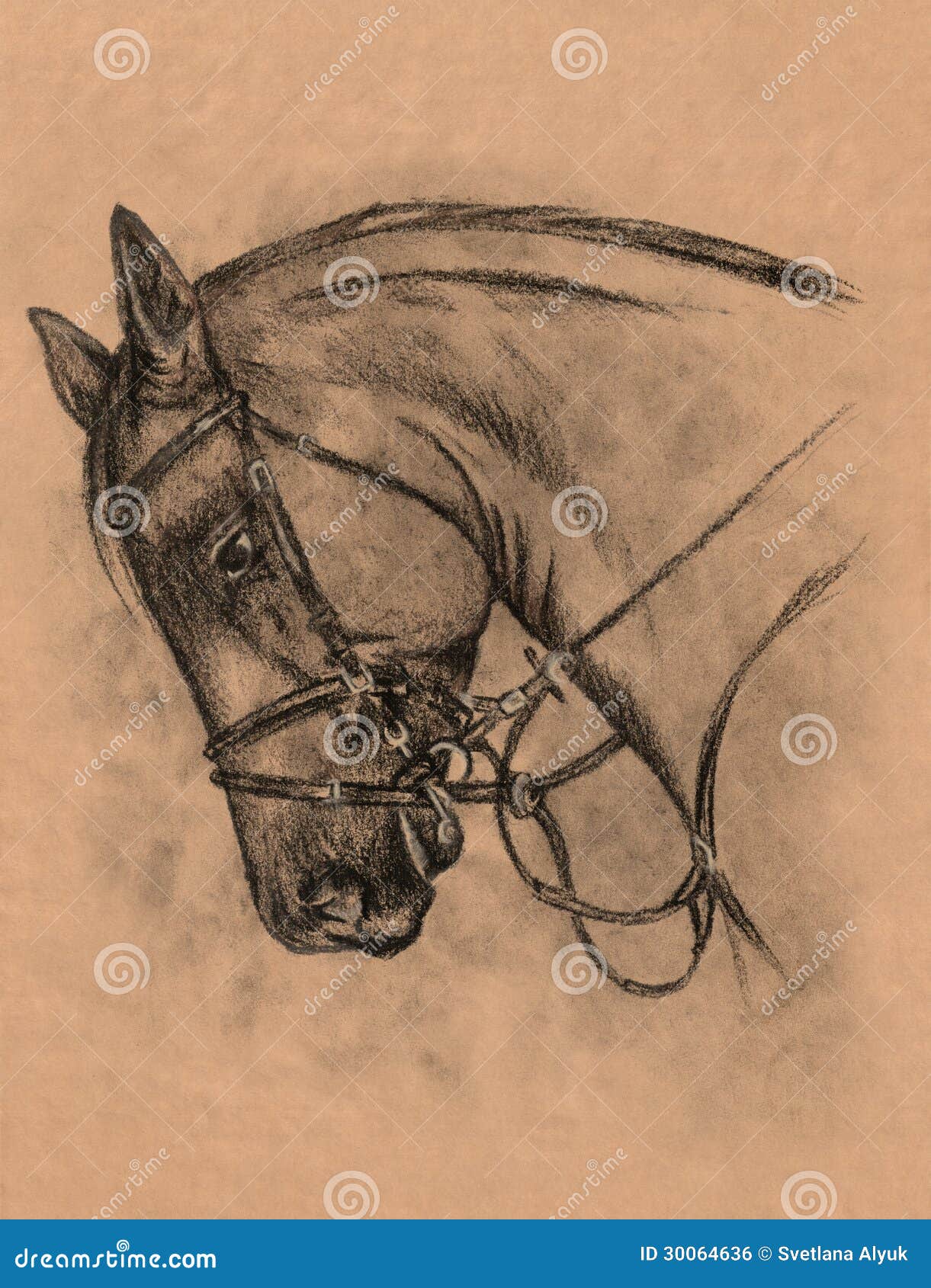 Charcoal horse hires stock photography and images  Alamy