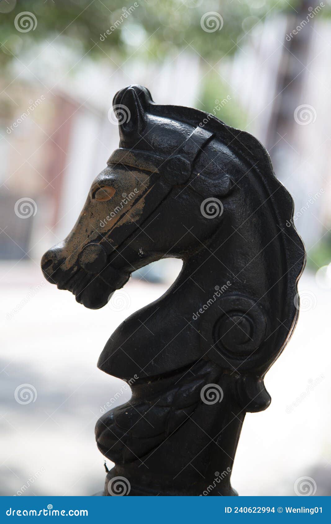 horse head model city new orleans usa