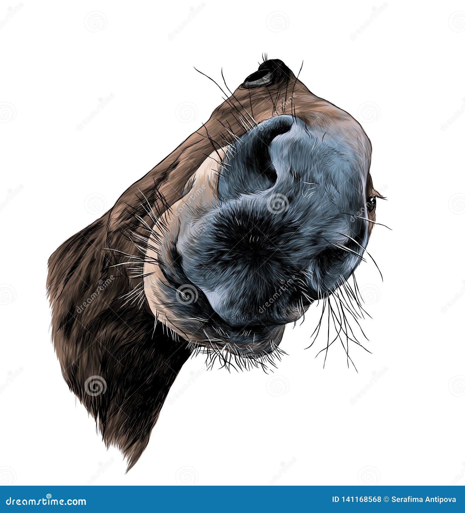 Download Horse Head In Perspective With Nose Close Up Stock Vector ...