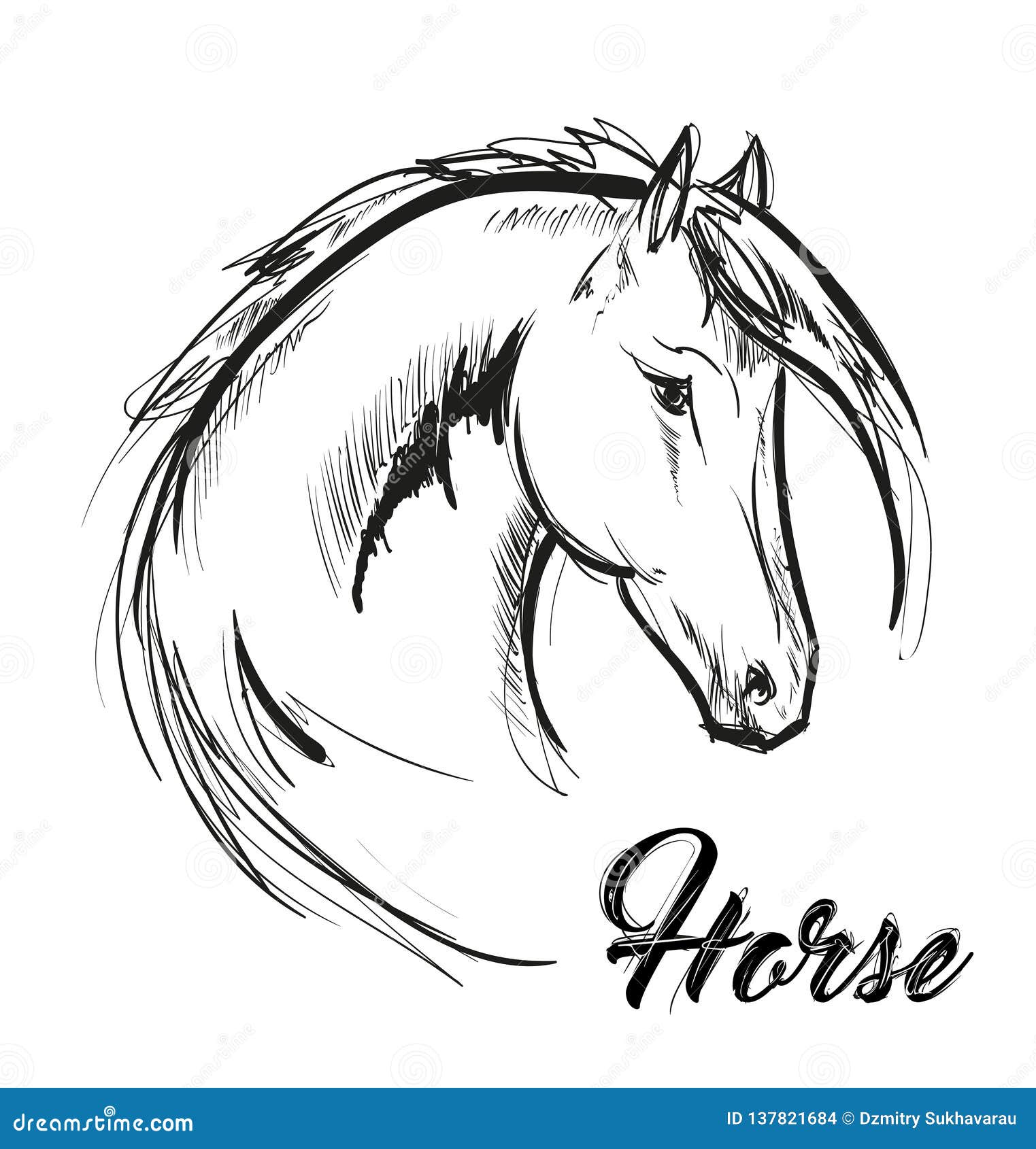 Horse Head Profile Sketch Vector Graphics. Hand Drawn Illustration
