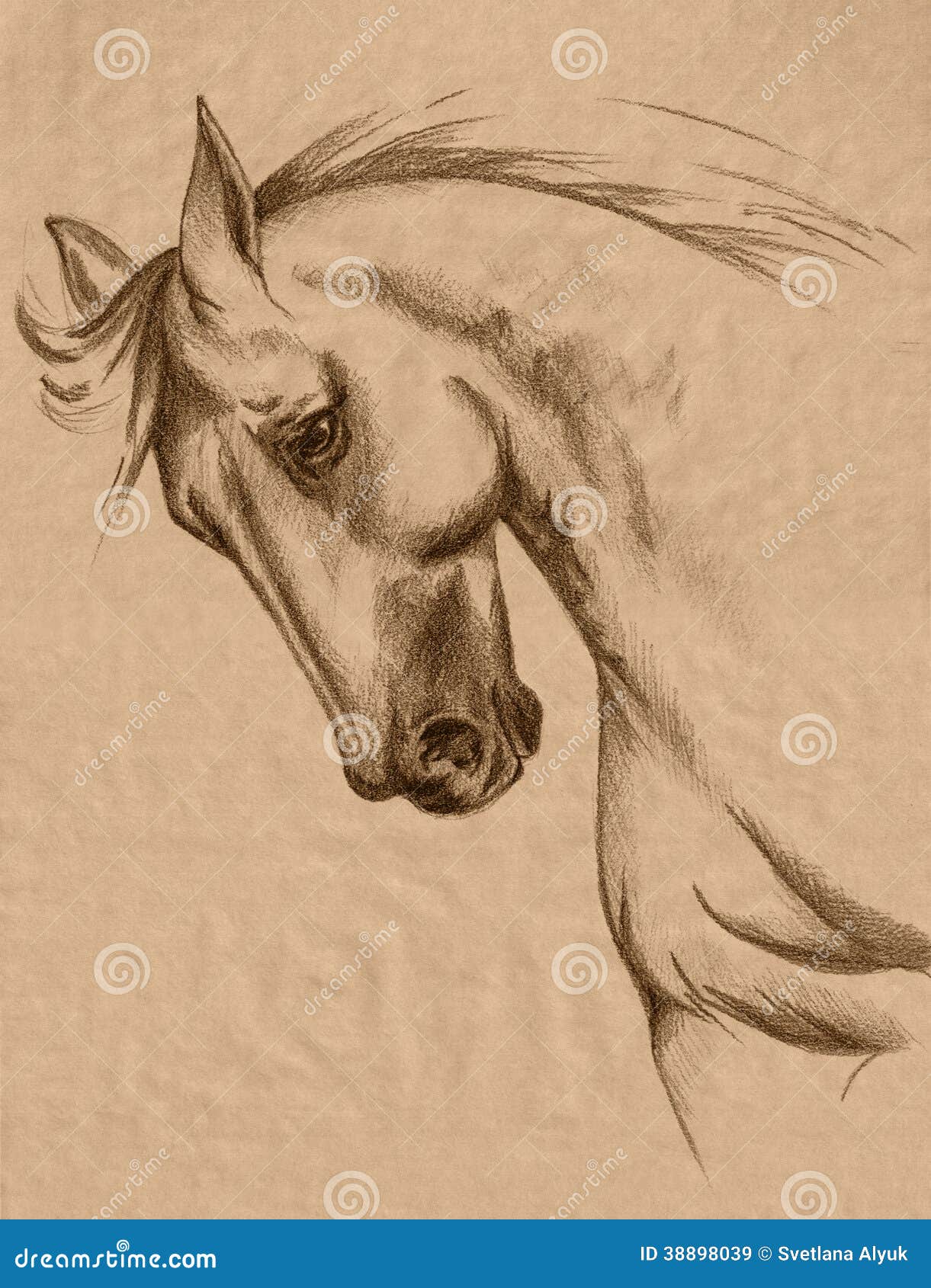 ArtStation - Freehand drawing of a horse with a pencil