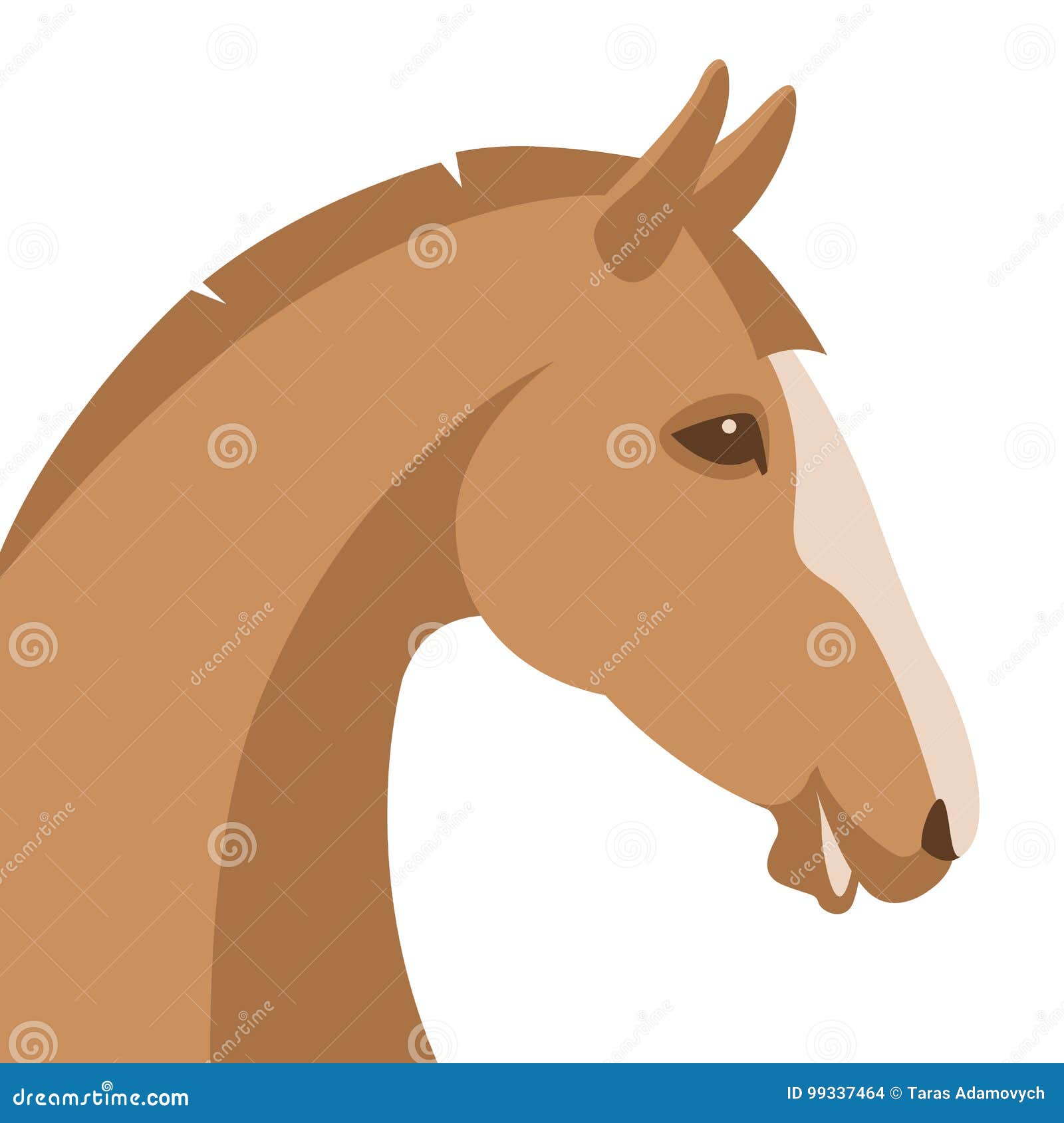 Featured image of post Cartoon Horse Head Profile