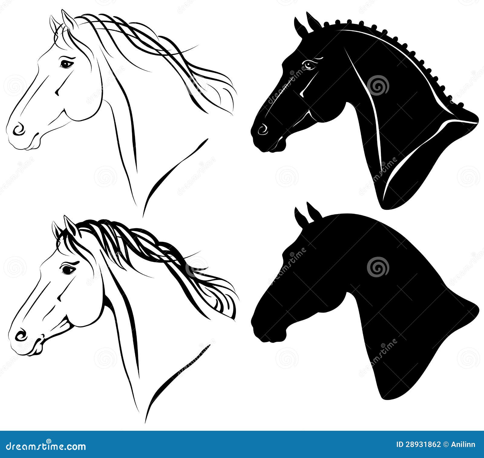 horses face black and white clipart