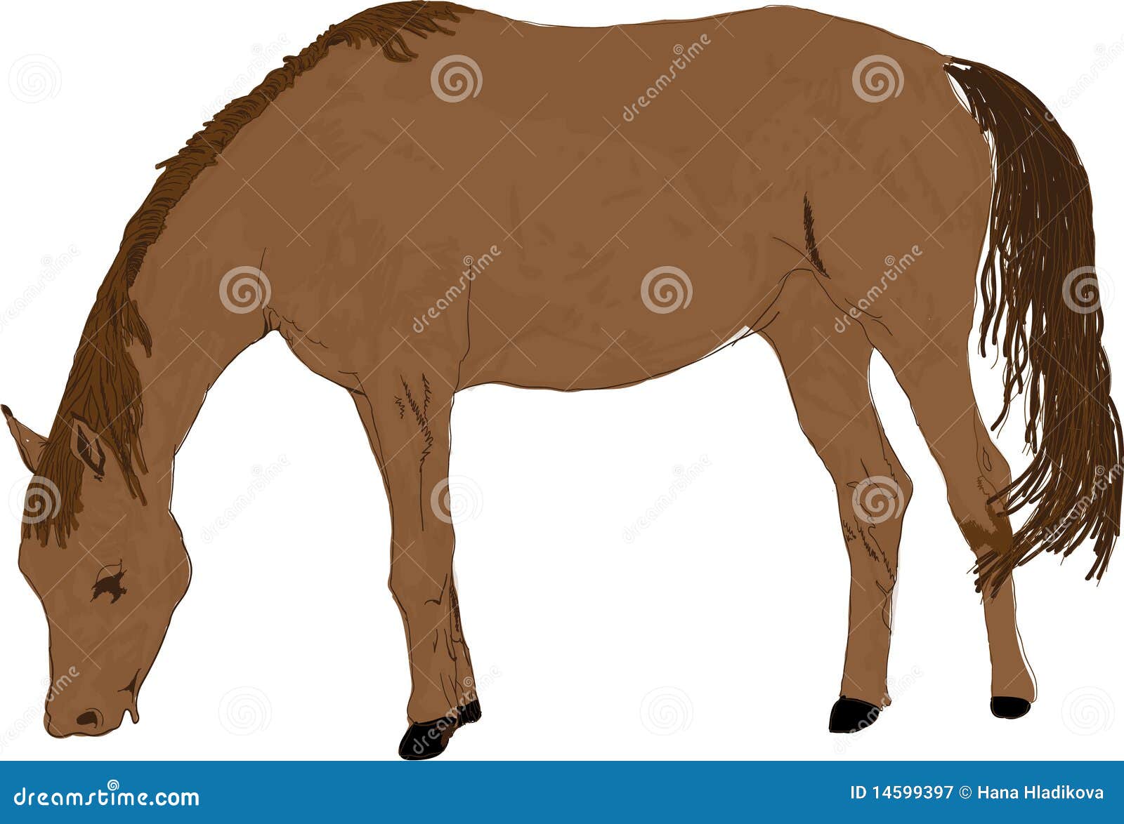 Horse illustration. Brown horse detail illustration