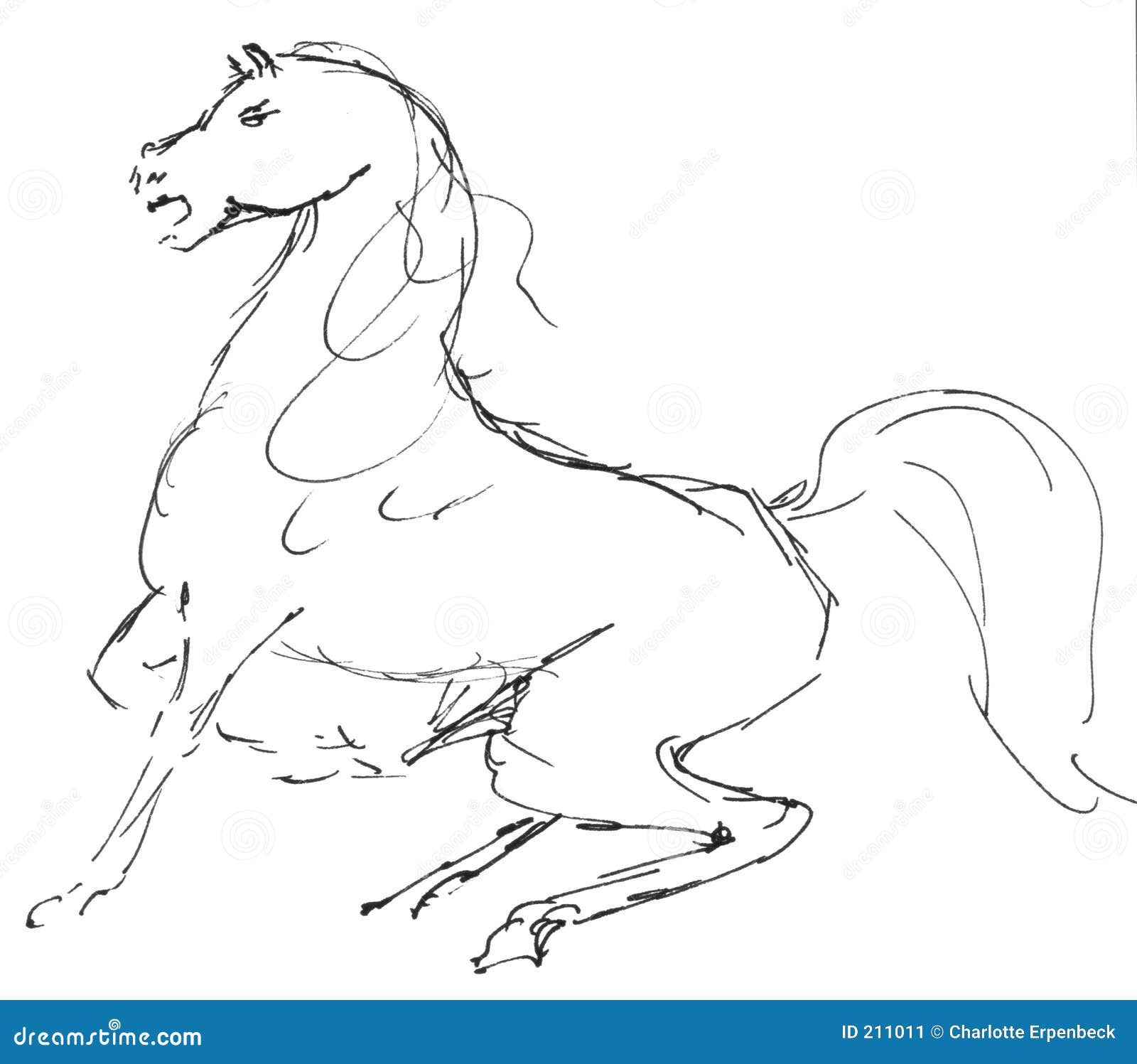 horse 