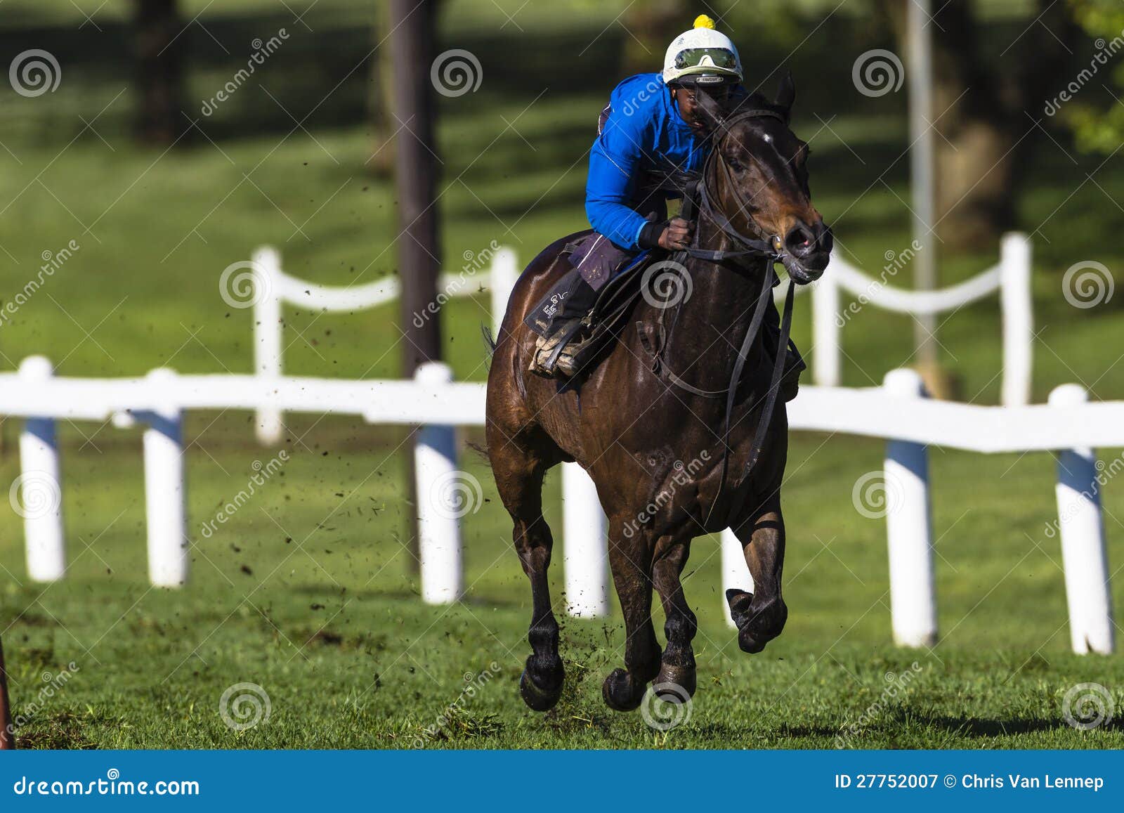 Horse Jockey Sprint Training Editorial Photography Image of animals