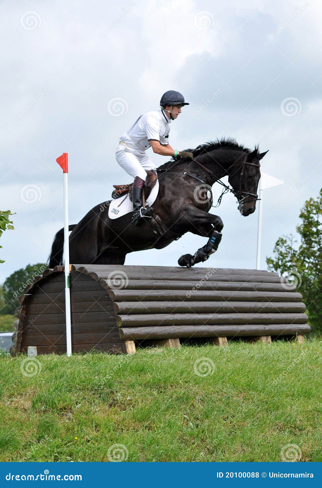 Horse jump editorial stock photo. Image of fence, tattersalls 20100088