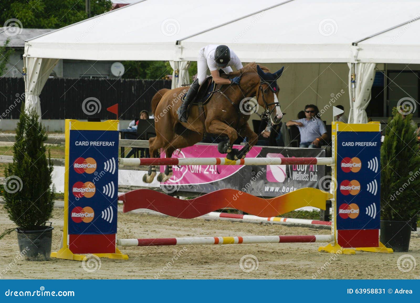 Equitation Contest, Horse Jumping Over Obstacle Editorial Photo Image
