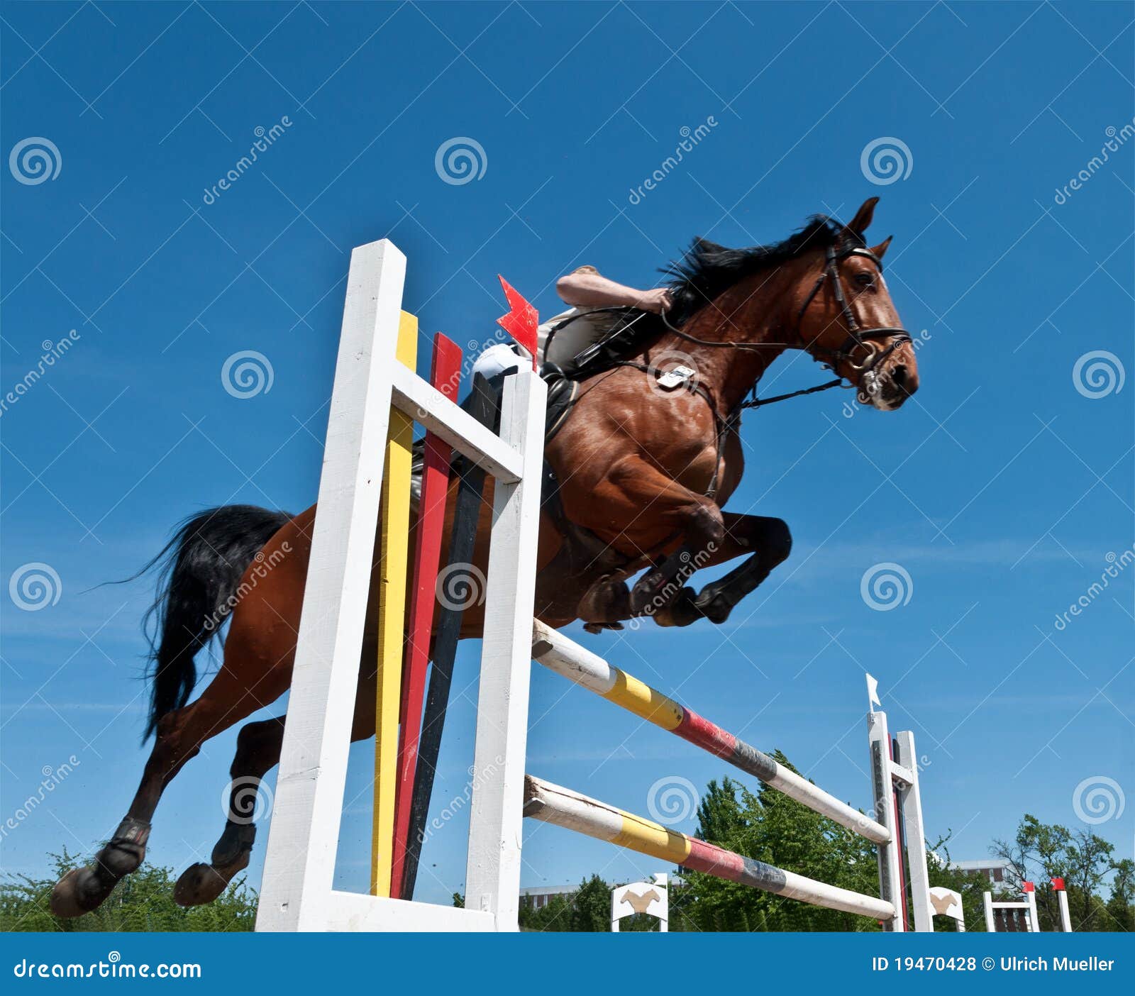 Horse jumping stock photo. Image of sportsman, motion 19470428
