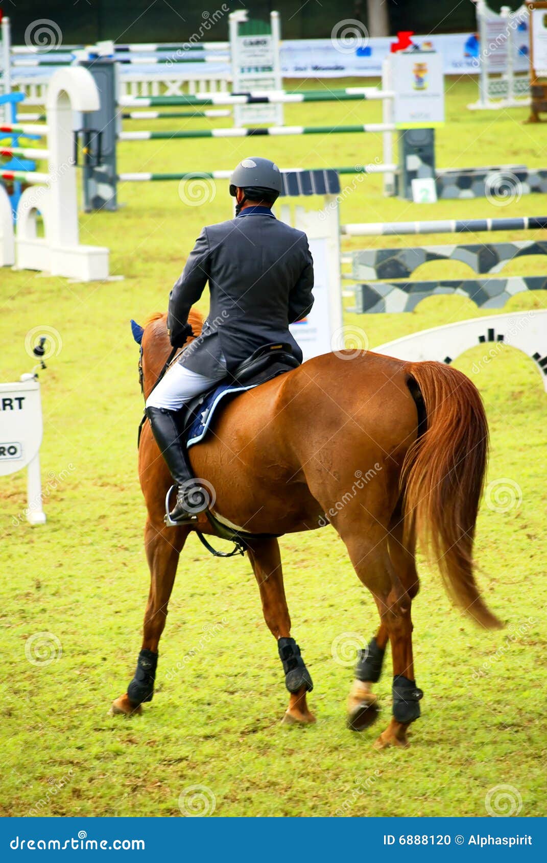 Horse jumping competition stock photo. Image of equine 6888120