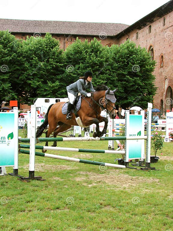 Horse jumping show editorial image. Image of penalties 5247330