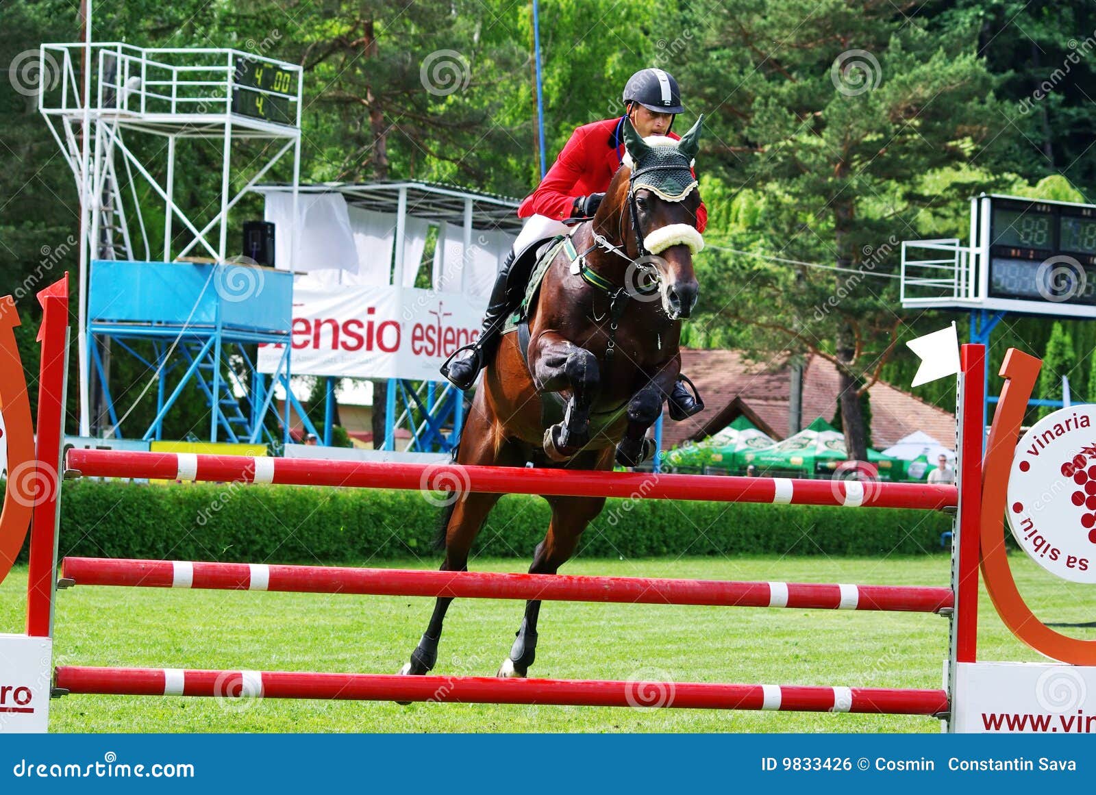 Horse jumping sport editorial photo. Image of championships 9833426