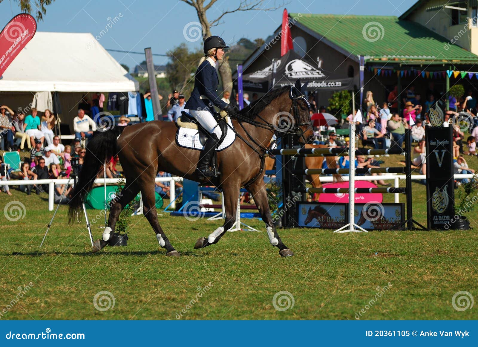 Horse Jumping Winner Jade Hooke Editorial Image Image of africa
