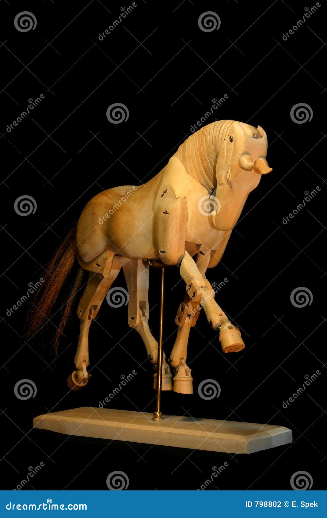 Horse Mannequin Trot Stock Photography Image 798802