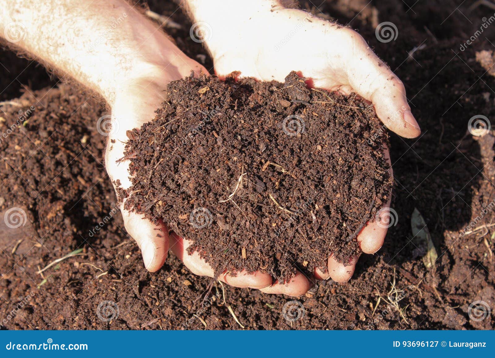 Horse Manure Compost Stock Image Image Of Planting Color 93696127