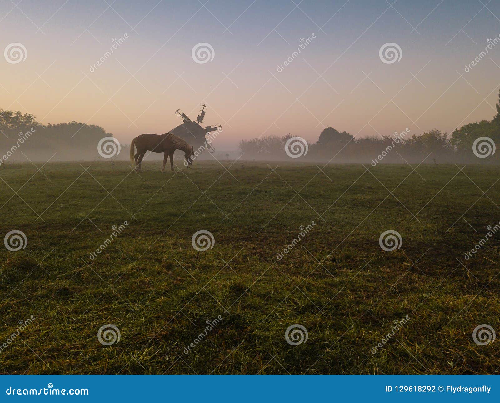 Horse and Mill in Foggy Morning on the Field. Calm Sad Depressive