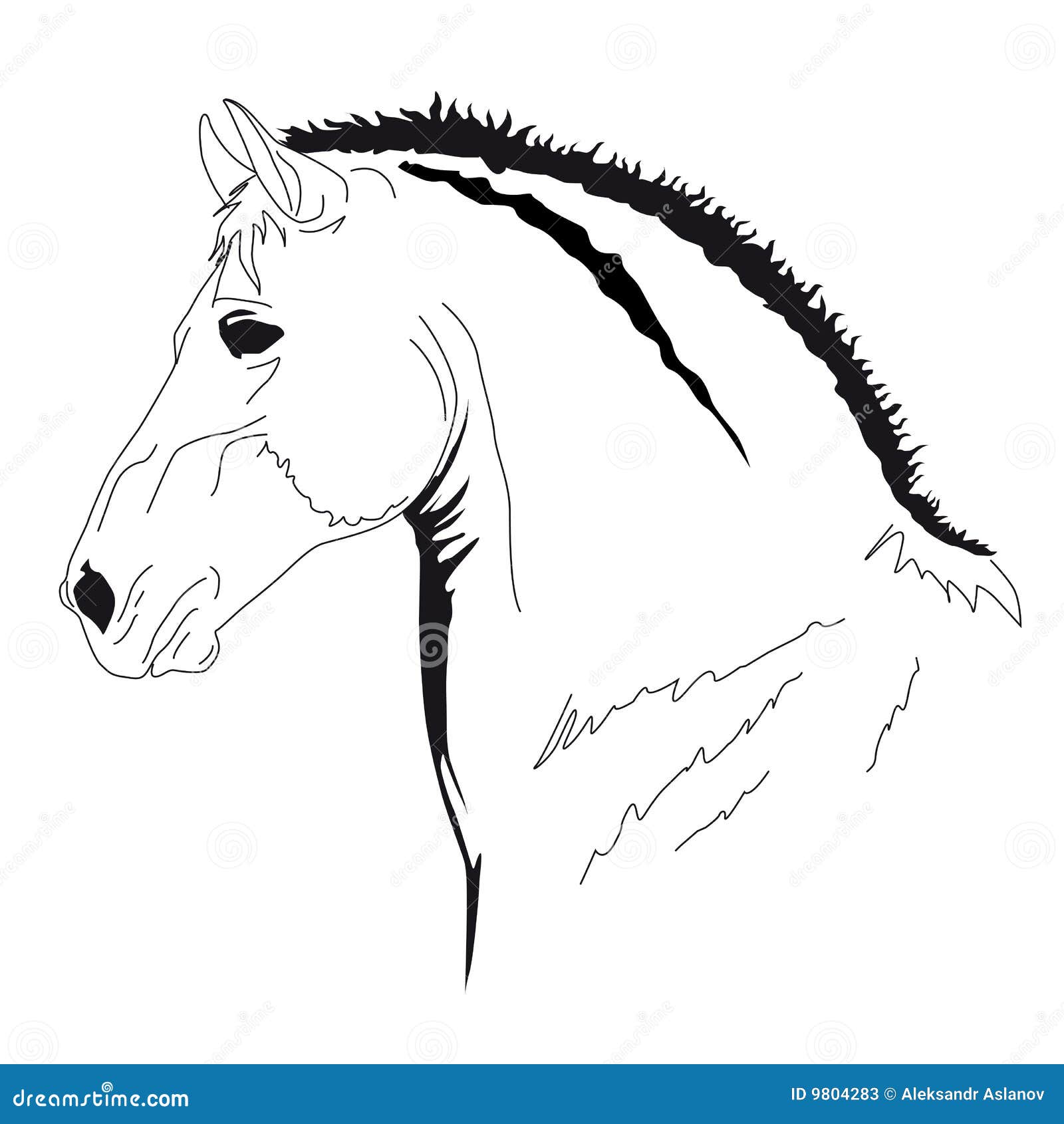 Horse Muzzle Front View. Ink Black And White Doodle Drawing Cartoon