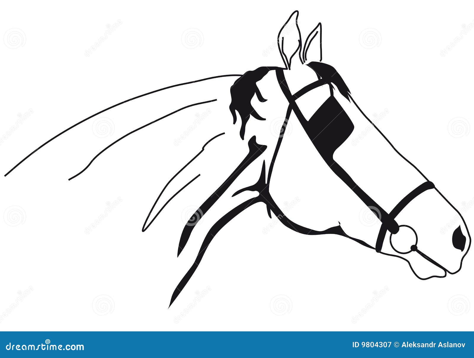 Horse muzzle stock vector. Illustration of horse, silhouette 9804307