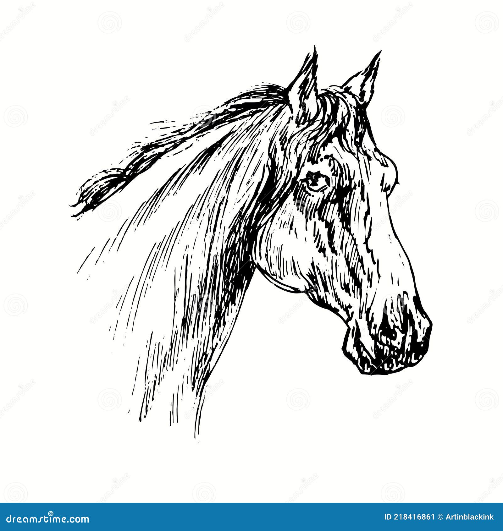Horse Muzzle Side View. Ink Black And White Doodle Drawing Cartoon
